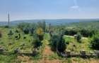 🌿🏡 Casă A-Frame 85 mp  utili 880 mp teren Chicerea Tomești 🏡🌿 - 11