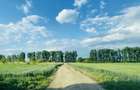 Teren rezidențial langa lac Snagov în Silistea Snagovului ieșire A3 - 1
