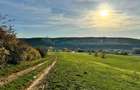 Teren de vanzare in Betfia, 5487 mp intravilan, Bihor - 5
