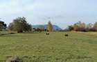 Teren in Sohodol-Bran - 8