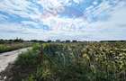 Teren 14.863mp, deschidere 42mp, acces 3 laturi - Ciorogarla, langa A0 - 5