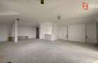 Casa de vanzare 5 camere si teren de 950 mp - Mosnita Noua - 27