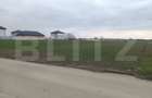 Teren 7.200 mp cu toate utilitățile la front asfaltat, Măn. Jitianu, Braniște