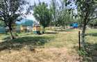 Teren 3100 mp cabana potential investitional Sura Mica Sibiu - 17