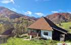 Casa de vanzare in Trampoiele (Zlatna) - 2
