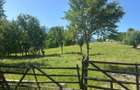 Teren Sohodol cu vedere catre M-tii Bucegi - 6