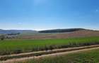 Teren agricol de vanzare  - 8