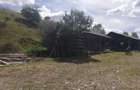 Vind teten intravilan in  Margau - 5
