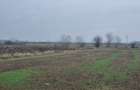 Vanzare Teren construibil 800mp 1 Decembrie Ilfov - 7