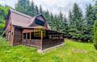 Cabană – Mureș – Sălard – Zona Pensiunea Denisa - 3