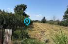 Teren intravilan 4.000 mp Comana (Budeni) | 10 €/mp negociabil | Comis