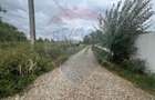Teren 1300mp Campineanca / Intrare din Strada Hotarului - 2