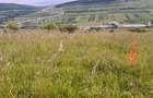 Teren de vanzare in Valcele - 7