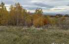 Teren intravilan – Salicea, 971 mp - 1