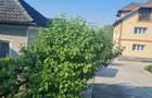 Imobil la 4km de Rm Valcea in Budesti  - 1