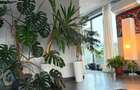 Penthouse de inchiriat in Borhanci, terasa generoasa - 4