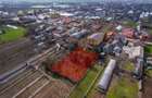 ADUNATII-COPACENI - APARTAMENT 135 MP, LOT 787 MP! - 25