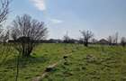 Fermă de vânzare 8 ha – Balș, județul Olt - 14