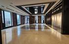 Herastrau Office Lux 357 sqm - 19