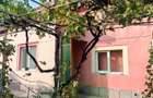 Casa Str Micsunenelor 160000 euro