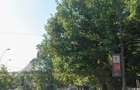 Penthouse cu garaj in Cartierul Herastrau - 8