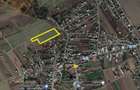 Domnesti-Teghes, 10000mp, 50X200, intravilan, acces 2 strazi, utilitati in zona - 1