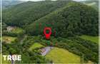 Teren intravilan 2.800 m² în Câmpu Cetății – liniște și natură - 10