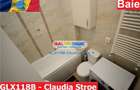 Inchiriere apartament 2 camere Millitari Pacii Drumul Belsugului - 19