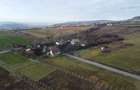 Teren 19.375 mp Dâmbu Rotund. Potențial rezidențial. Extravilan - 6