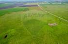5 hectare teren agricol- pășune, cu front la șosea, zona Sântana - 6