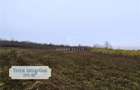 Antony Estate | Vanzare Teren Intravilan,40 euro/mp,Paleu,Oradea - 2