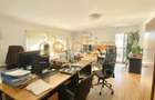 VILA SUPERBA 7 CAMERE, 330MP, D+P+2+M, PTA. DOMENII-STRADAL,2004/BIROURI-CLINICA - 26