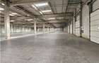 Spatiu Industrial - 900 mp - Productie - Depozitare - Distributie - 8