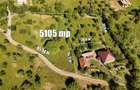 Teren intravilan 5.105 mp, Baia Sprie, la intrare pe Valea Chiuzbăii - 1