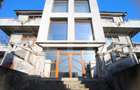 Vila P+2E, 550 mp utili, 970 mp teren, zona Calea Severinului - BILLA - 1