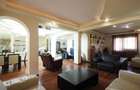 Vila cu 9 camere, 5 bai | D+P+1+M | 416mp teren - 3
