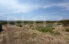 Teren extravilan de vanzare, 60402 mp, zona Archia - 3