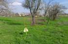 DE VANZARE TEREN 3400 MP IN SAT PODU ILFOVAT / COM BUTURUGENI (GR) - 35