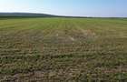 Teren intravilan de vanzare, 66400 mp, langa Oradea, Bihor - 16