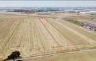 Teren Industrial A0 Popesti-Leordeni | utilitati: curent si gaz | #IP6 - 1