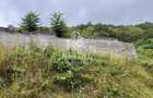 Proprietate cu potențial, într-un cadru natural de vis – 3581 mp teren - 11