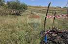 Teren intravilan de vanzare 843 mp – Chinteni - 12