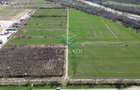 Teren de vanzare -  Bolintin Vale 10 ha - 3
