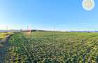 Teren intravilan 22800mp la 2km de Parcul Industrial Prejmer - 2