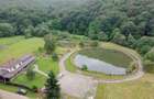 Complex turistic și proprietate deosebită de vânzare în Valea Dobârlău - 1