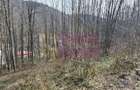 Tere intravilan de vanzare in Sinaia - 1