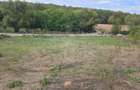 TEREN INTRAVILAN//COM. PLOPU//1300//2700 MP - 4