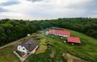 Fermă premium, casa, grajd+anexe Grănicești, 12,98Ha Iacobești Suceava - 20