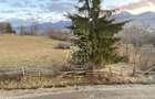 Casa 220 mp-teren 4000 mp-ideal Pensiune-garaj-Bistrita Bargaului - 7