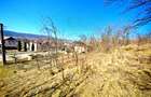 Casă cu teren generos în Dârmănești, Argeș-ideală pentru locuința sau afacere - 16